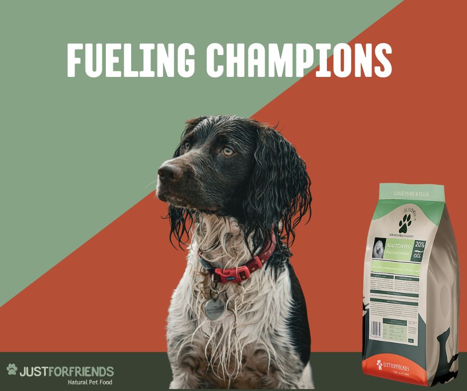 Why Breeders and Owners Trust Just For Friends