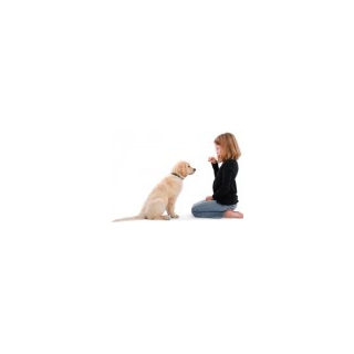 Five Dog Training Commands using FourFriends Natural Dog Treats