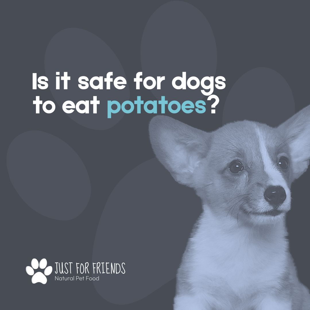 Are Potatoes Safe for Dogs? A Complete Guide