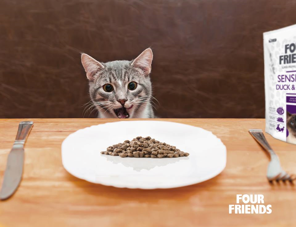 How Often Should You Feed Your Pet?