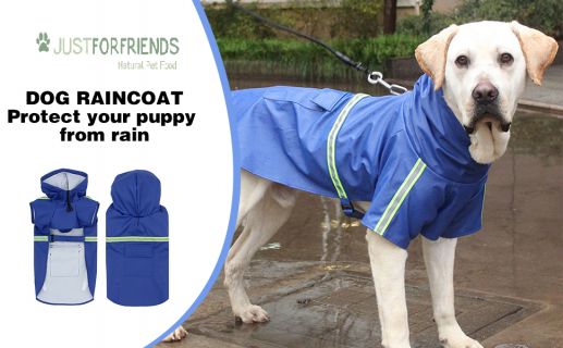 Just For Friends Dog Rain Coat